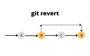 How to Revert the Last Commit Locally and Remote in Git - Become A Better  Programmer